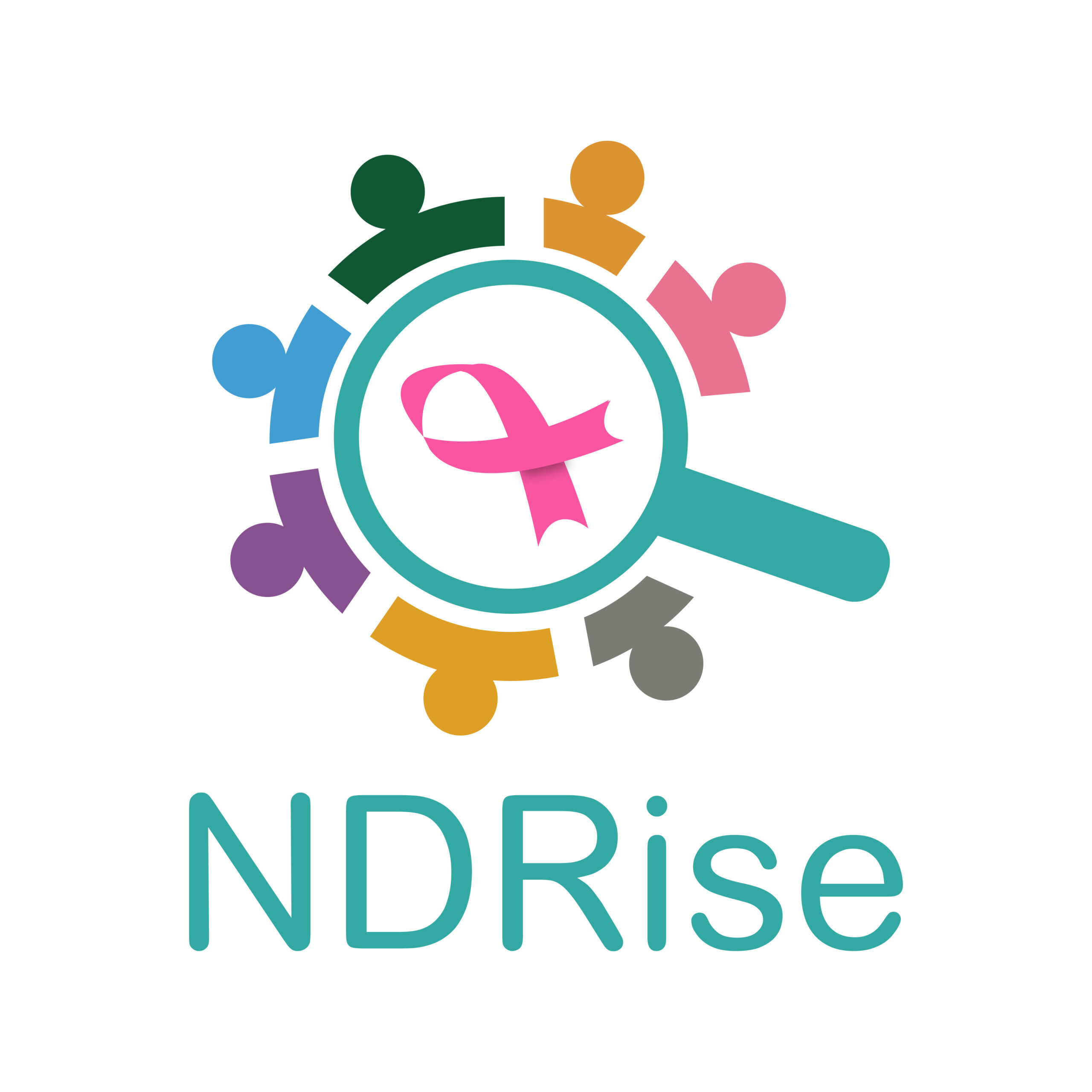 NDRise